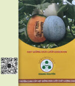 Hạt giống dưa lưới Queen KN
