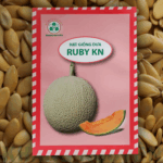 Hạt Giống Dưa Lưới Ruby KN – Ruột Đỏ Hồng, Giống Cao Cấp Dành Cho Thị Trường Khó Tính - Ảnh 2