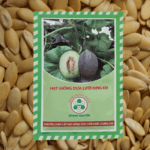 Hạt Giống Dưa Lưới King KN – Năng Suất Vượt Trội, Chất Lượng Cao - Ảnh 2