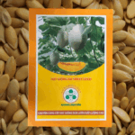 Hạt Giống Dưa Lưới AB Sweet Gold – Ruột Vàng, Ngọt Thanh, Chất Lượng Xuất Khẩu - Ảnh 2