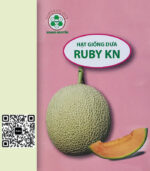 Hạt Giống Dưa Lưới Ruby KN – Ruột Đỏ Hồng, Giống Cao Cấp Dành Cho Thị Trường Khó Tính
