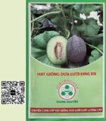 Hạt Giống Dưa Lưới King KN – Năng Suất Vượt Trội, Chất Lượng Cao
