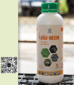 Thuốc Sinh Học Dầu Neem – Giải Pháp Hữu Cơ Phòng Trừ Côn Trùng Hiệu Quả