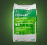 Phân Bón MAP Haifa – Mono Ammonium Phosphate 12-61-0 - Ảnh 4