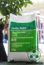 Phân Bón MAP Haifa – Mono Ammonium Phosphate 12-61-0 - Ảnh 2