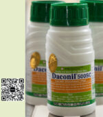 Thuốc Trị Nấm Daconil 500SC 240ml