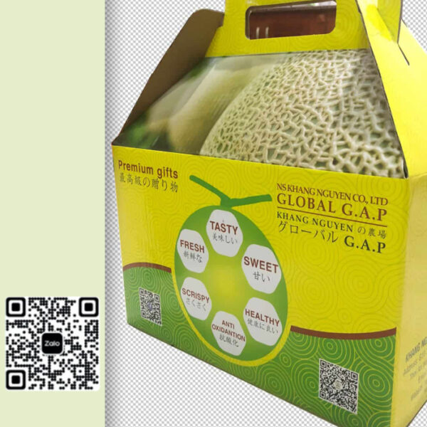 Hộp quà tặng dưa lưới