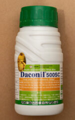 Thuốc Trị Nấm Daconil 500SC 240ml - Ảnh 4