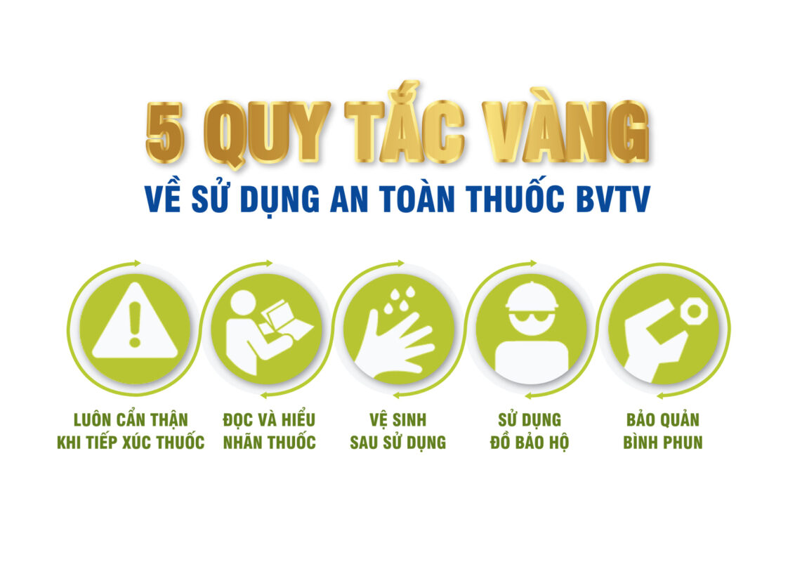 Sử dụng thuốc bvtv an toàn