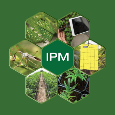 chế phẩm sinh học phù hợp cho IPM