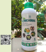 Chế Phẩm Sinh Học TRICOBAC – Xử Lý Rơm Rạ, Phòng Tuyến Trùng & Nấm Bệnh Hiệu Quả