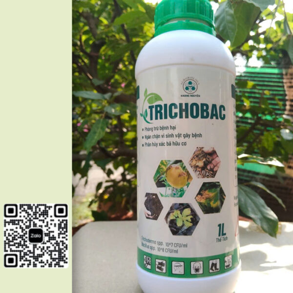Chế Phẩm Sinh Học TRICOBAC – Xử Lý Rơm Rạ, Phòng Tuyến Trùng & Nấm Bệnh Hiệu Quả