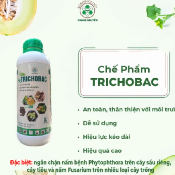 Chế Phẩm Sinh Học TRICOBAC – Xử Lý Rơm Rạ, Phòng Tuyến Trùng & Nấm Bệnh Hiệu Quả