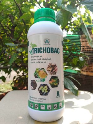 Chế Phẩm Sinh Học TRICOBAC – Xử Lý Rơm Rạ, Phòng Tuyến Trùng & Nấm Bệnh Hiệu Quả - Ảnh 4