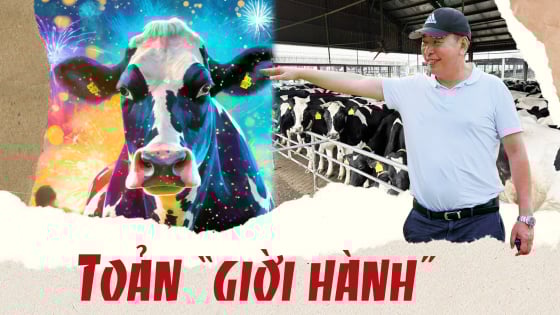 toan-‘gioi-hanh’