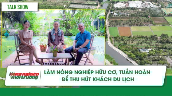 lam-nong-nghiep-huu-co,-tuan-hoan-de-thu-hut-khach-du-lich