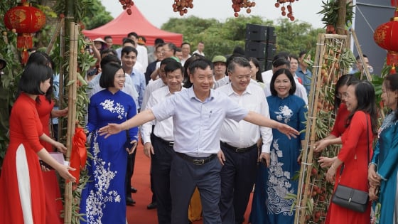khai-mo-mua-vai-thieu-thanh-ha-2025,-huong-toi-thi-truong-toan-cau