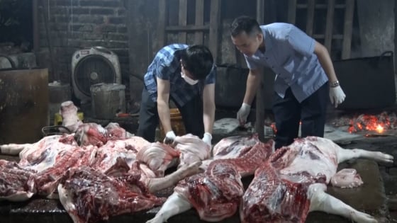gan-3-tan-thit-lon-duong-tinh-virus-dich-ta-lon-chau-phi
