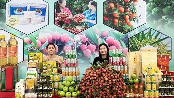 thi-xa-chu-chi-1,4-ty-dong-quang-ba,-xuc-tien-tieu-thu-vai-thieu