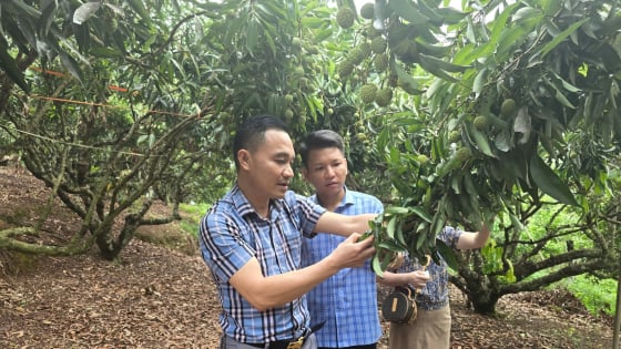 40-lop-tap-huan-cho-nong-dan-trong-vai