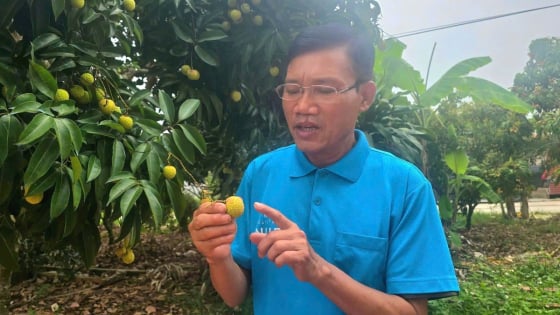 bao-ve-thuong-hieu-vai-thieu-luc-ngan