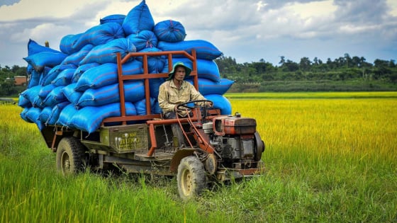 krong-no-chuyen-minh-tu-nong-nghiep-truyen-thong-sang-cong-nghe-cao