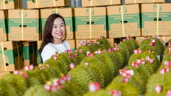 ma-so-vung-trong-sau-rieng-dat-70%-dien-tich-moi-mong-minh-bach