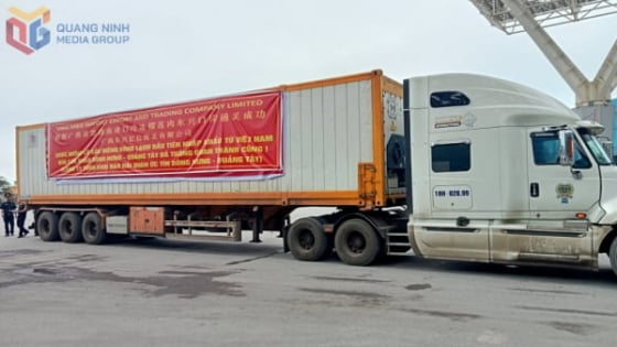 lo-sau-rieng-dong-lanh-dau-tien-cua-viet-nam-duoc-xuat-khau-vao-trung-quoc