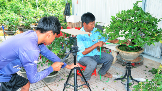 nong-dan-cho-lach-tu-tin-ban-hoa-kieng-qua-mang-xa-hoi