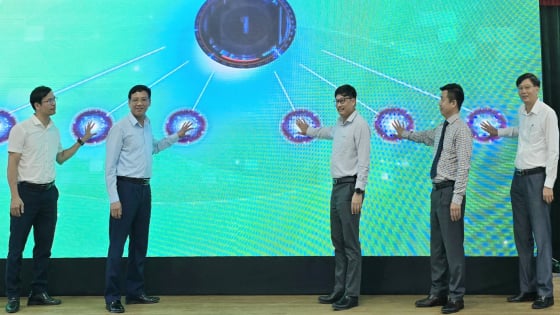 ra-mat-he-thong-quan-ly-du-lieu-nong-san-thanh-pho-hai-phong