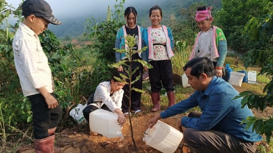 danh-thuc-khat-vong-thoat-ngheo:-[bai-3]-giac-mo-xanh-tren-dat-doc