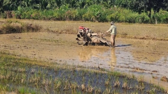 nuoc-tuoi-vu-he-thu:-dung-nuoc-tiet-kiem,-gieo-sa-tap-trung
