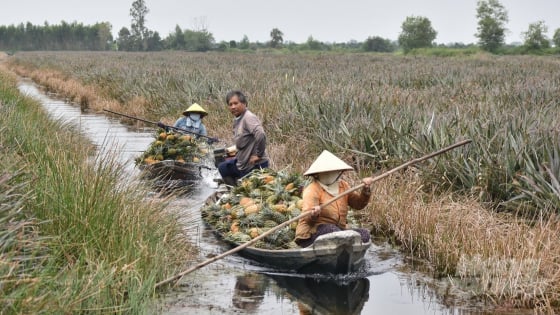 vung-ron-phen-thanh-‘vuong-quoc-khom’