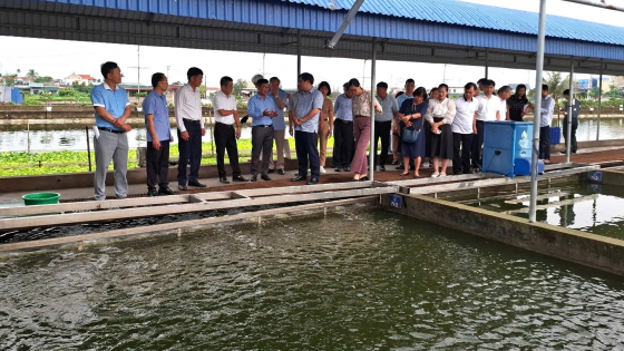 nguoi-nuoi-thuy-san-chua-yen-tam-ve-chat-luong-giong