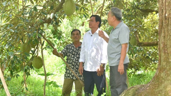 phan-mem-giup-nong-dan-tiep-can-tieu-chuan-thi-truong-nong-san