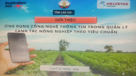 lao-cai:-50%-doanh-nghiep,-htx-ung-dung-cong-nghe-so