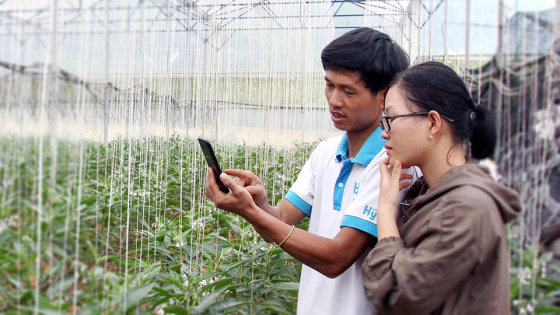 lao-cai:-moi-thon,-ban-thanh-lap-mot-to-cong-nghe-so-cong-dong