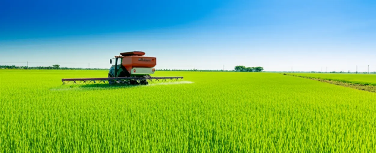 Ruộng lúa xanh tốt nhờ sử dụng phân bón chất lượng cao.