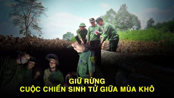 giu-rung-–-cuoc-chien-sinh-tu-giua-mua-kho