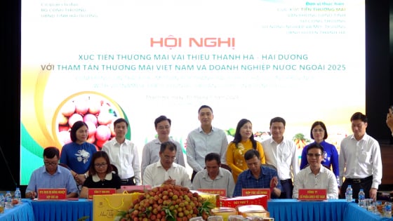 thanh-ha-lien-ket-doanh-nghiep,-htx-de-qua-vai-vuon-xa