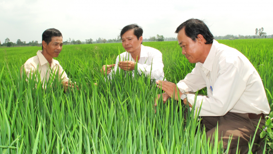 khuyen-nong-an-giang-30-nam-thuc-hien-su-menh-ho-tro-nong-dan