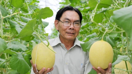 khuyen-nong-hau-giang-ho-tro-nguoi-dan-phat-trien-nong-nghiep-cong-nghe-cao
