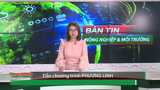 ban-tin-truyen-hinh-nn-mt-so-22/2025-(so-409)