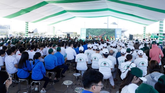 loi-cam-on-cua-ban-to-chuc-le-mit-tinh-ngay-moi-truong-the-gioi