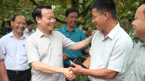 kiem-soat-sau-rieng-tu-goc,-tranh-tinh-trang-bi-tra-hang