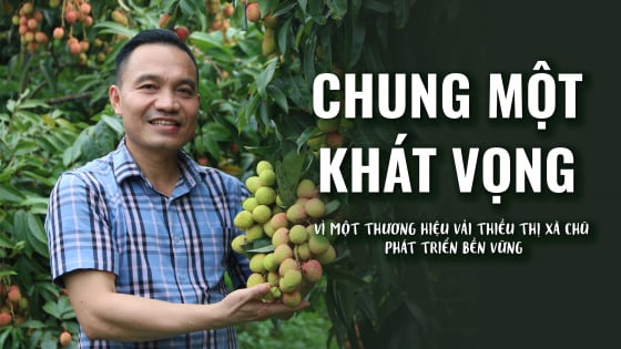 chung-mot-khat-vong-–-vi-mot-thuong-hieu-vai-thieu-thi-xa-chu-phat-trien-ben-vung