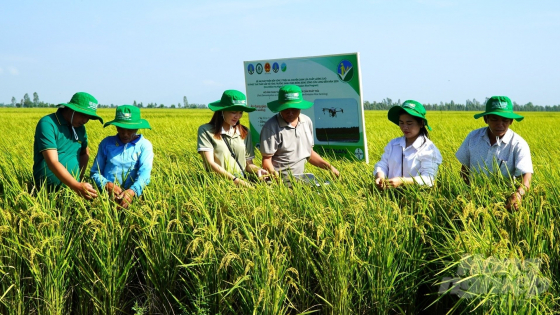 canh-tac-lua-giam-phat-thai,-chi-phi-giam-4-trieu-dong/ha