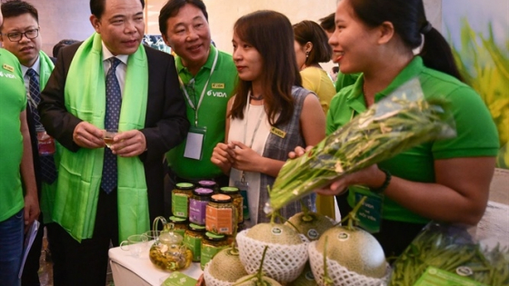 tao-dung-cac-doanh-nghiep-dan-toc,-co-khat-vong-va-nang-luc-quan-tri-tot