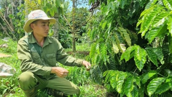 lam-nong-nghiep-huu-co-khong-chi-du-song-ma-de-song-co-trach-nhiem