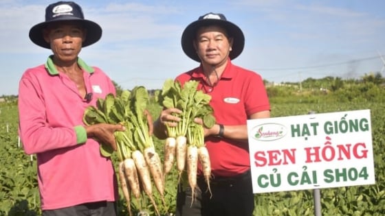 trong-mau-thu-nhap-500-trieu-dong/nam-nho-nhay-ben-su-dung-giong-moi